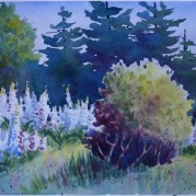 watercolor of bush on hill with trees and wildflowers by Joan Gregory