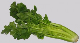 Celery