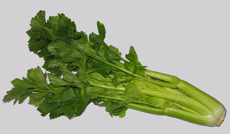 Celery