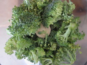 Broccoli being processed