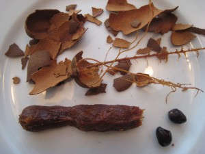 Tamarind - seeds