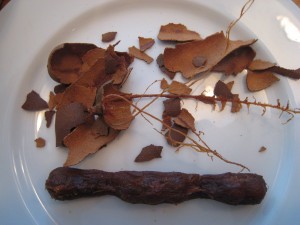 tamarind fruit inside pod