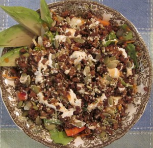 Aug 28 dinner -Taco Salad with Avocado slices