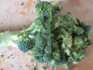 Broccoli Salad cutting broccoli