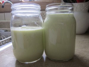 Hemp oil Mayonnaise in jars