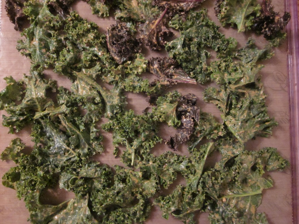 Chili Cheese Kale Chips on tray