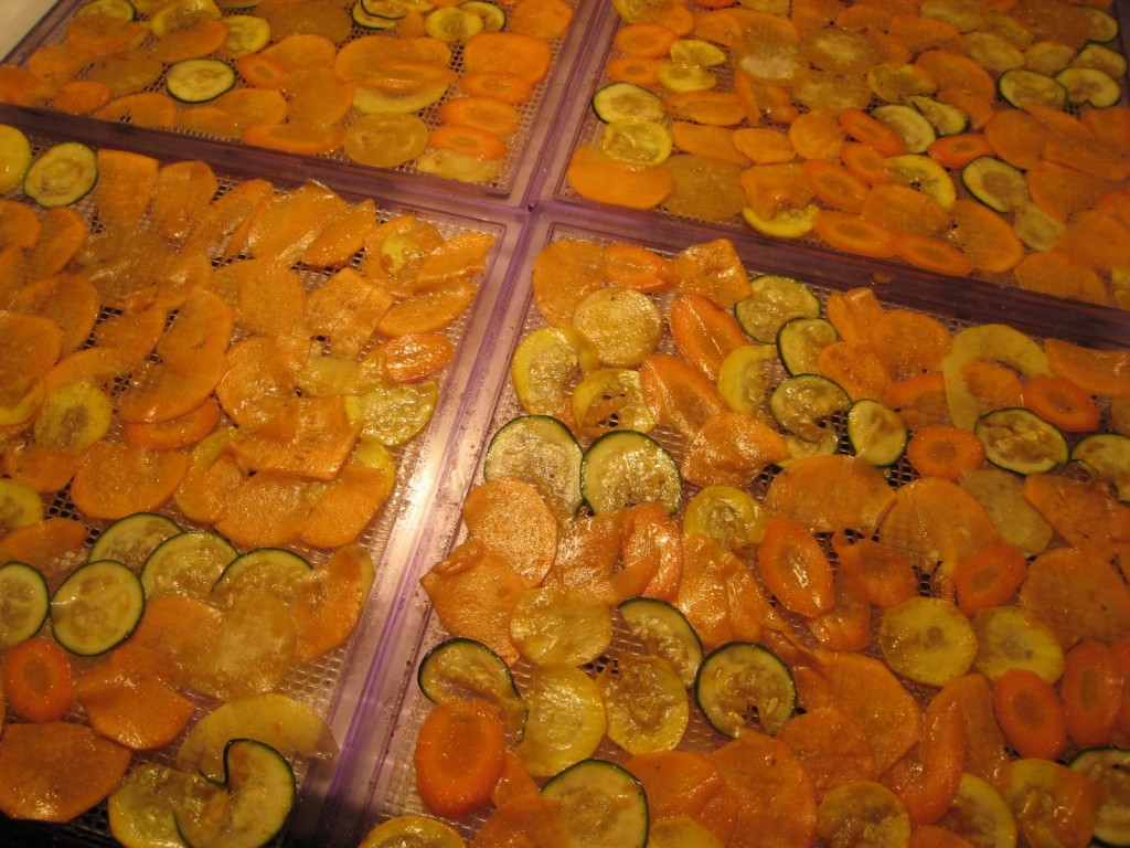 dehydrated veggie chips