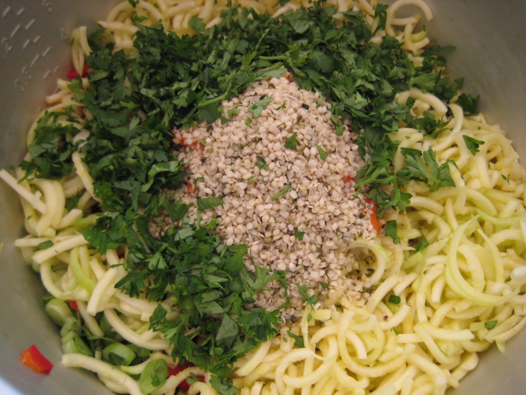 Ansons Sunfire Noodle Soup Recipe - zucchini noodles veg and hemp seeds