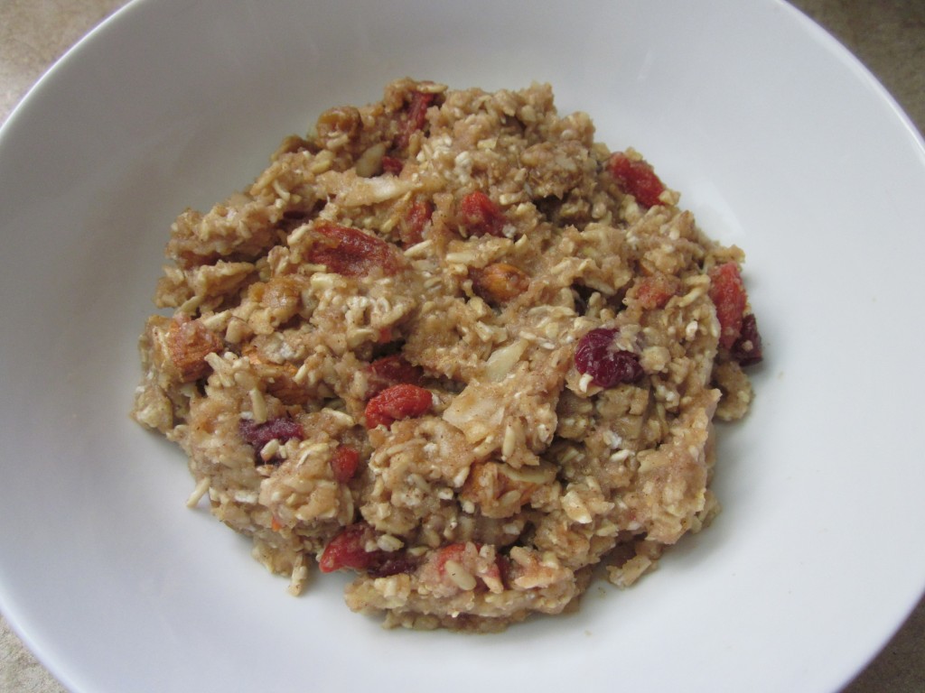 Apple Cinnamon Oatmeal - Healthy Breakfast Recipe in bowl