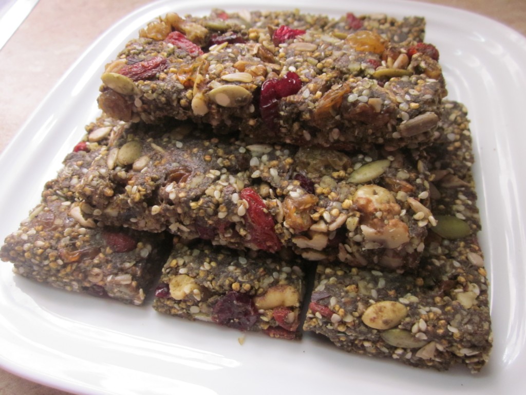 Hemp Protein Fruit Nut and Seed Bar Recipe