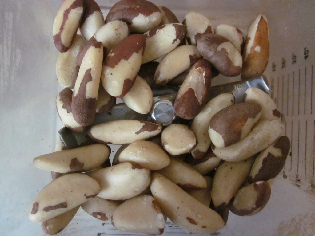 Hemp Protein Fruit Nut and Seed Bar Recipe  Brazil nuts in blender