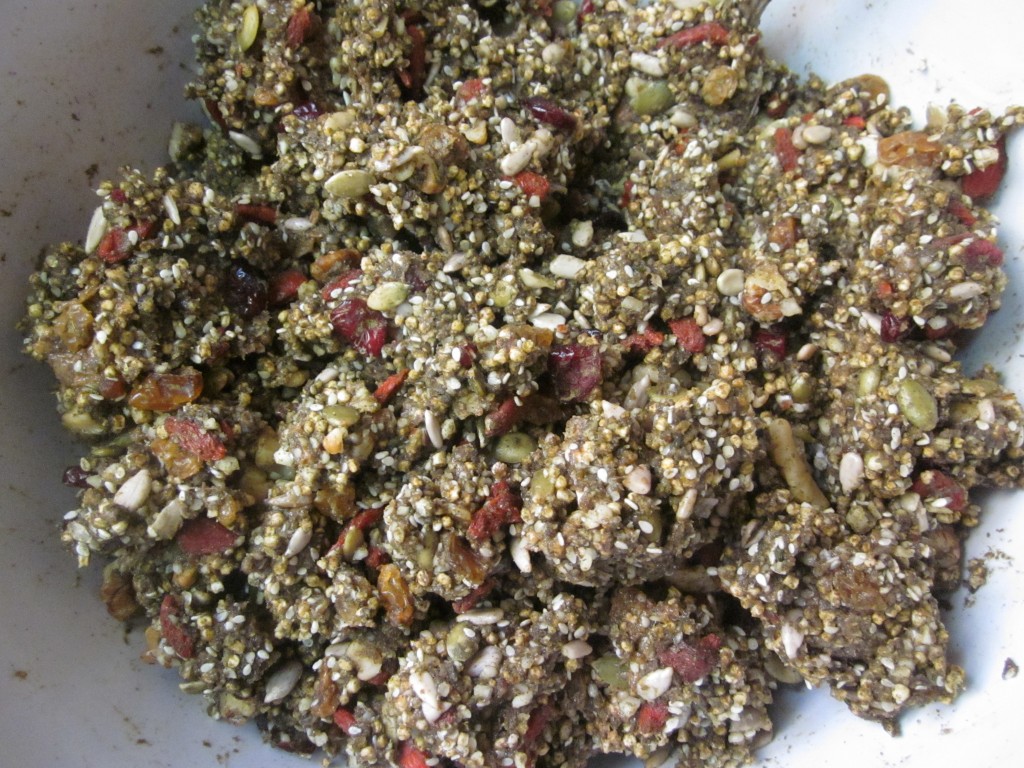 Hemp Protein Fruit Nut and Seed Bar Recipe  ingredients mixed in bowl