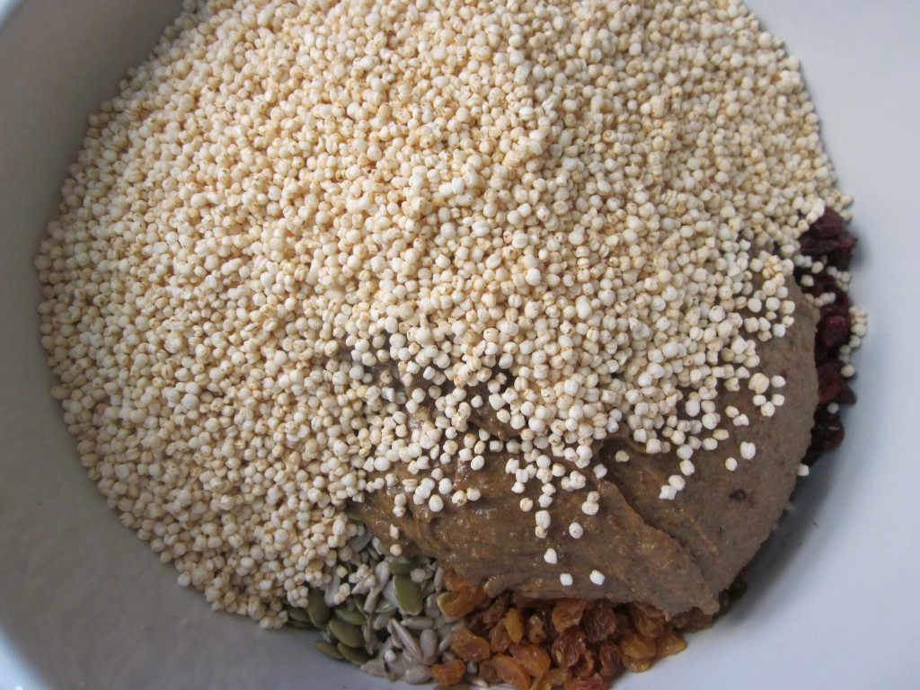 Hemp Protein Fruit Nut and Seed Bar Recipe  quinoa and sauce in bowl with rest of ingredients