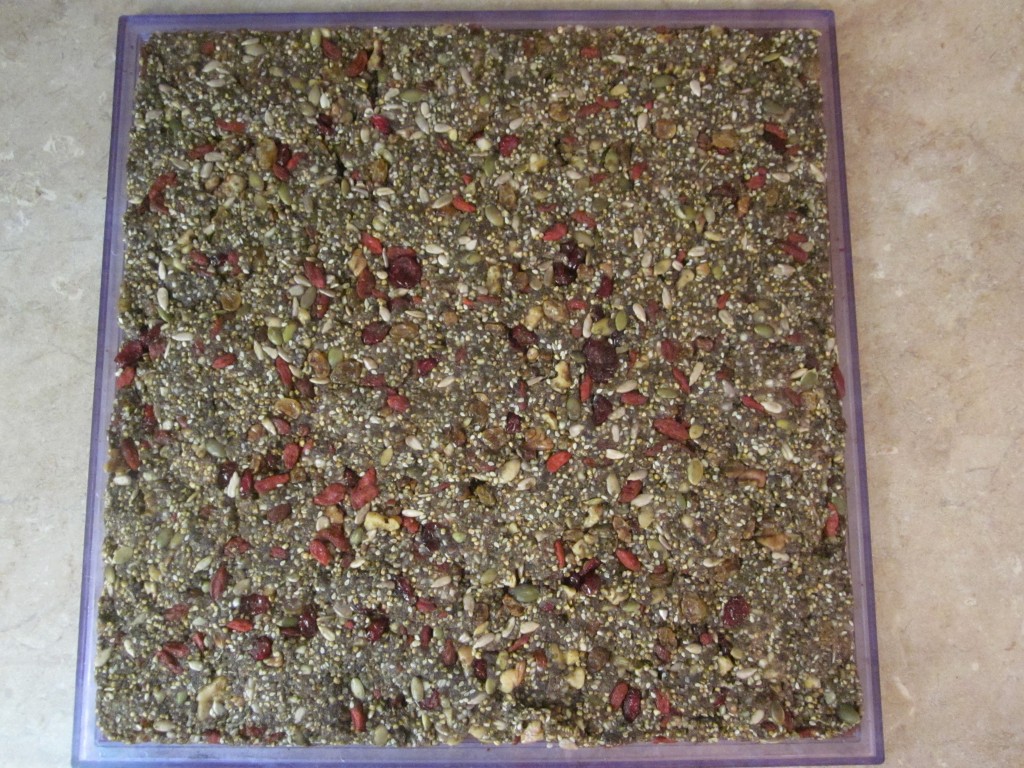 Hemp Protein Fruit Nut and Seed Bar Recipe  spread out