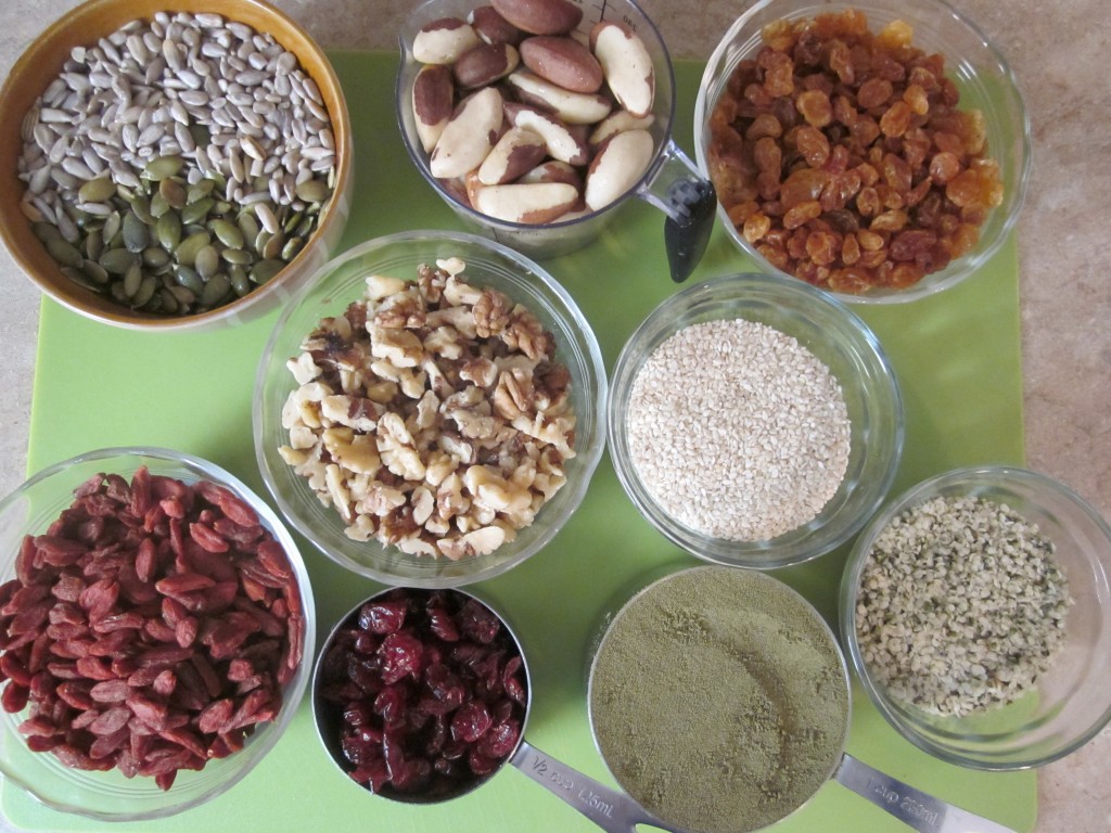 Hemp Protein Fruit Nut and Seed Bar Recipe ingredients