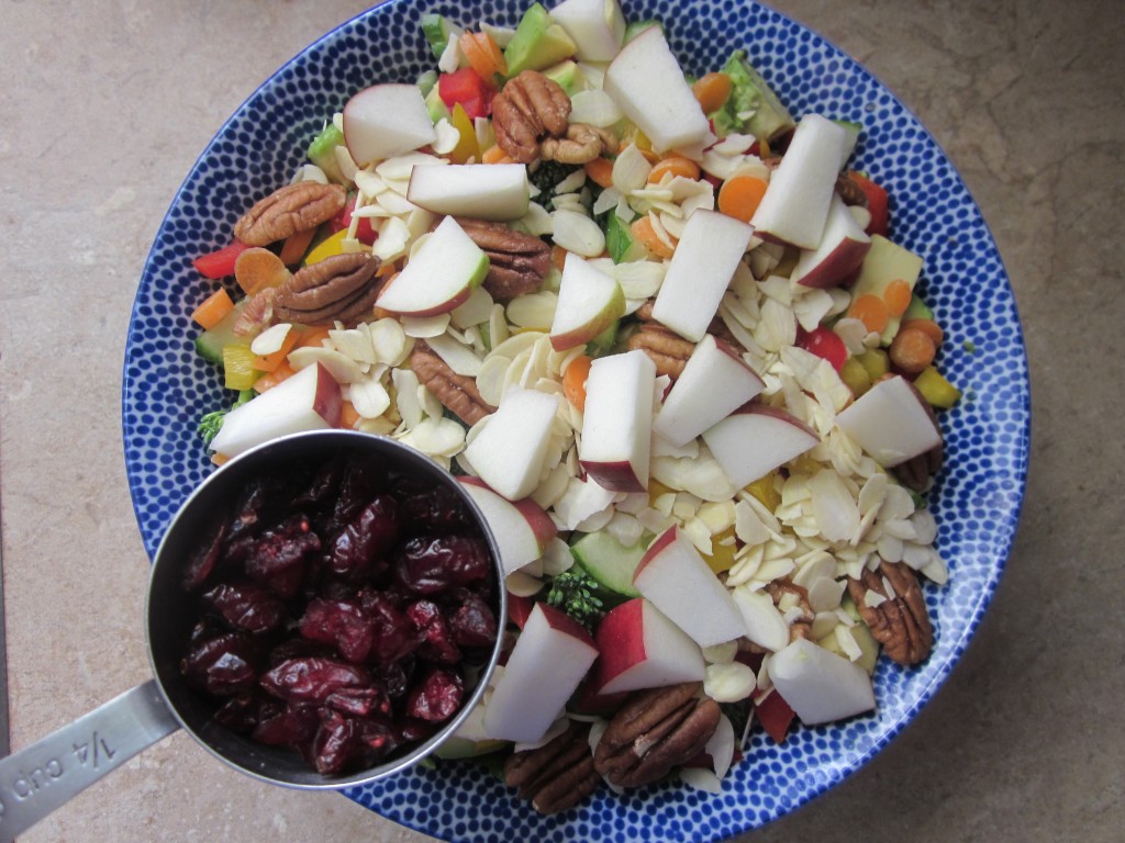 Goddess Bowl 2 with Coconut Lime Salad Dressing Recipe - dried cranberries