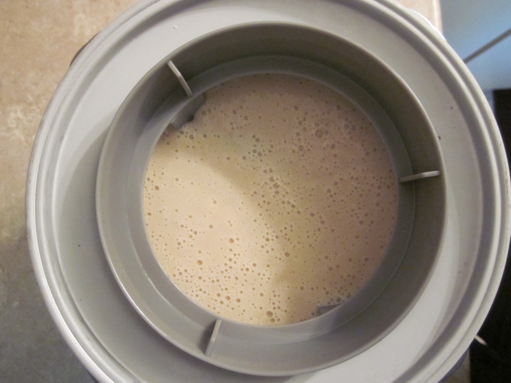 Maple Pecan Raw Vegan Ice Cream Recipe in ice cream maker with turning arm