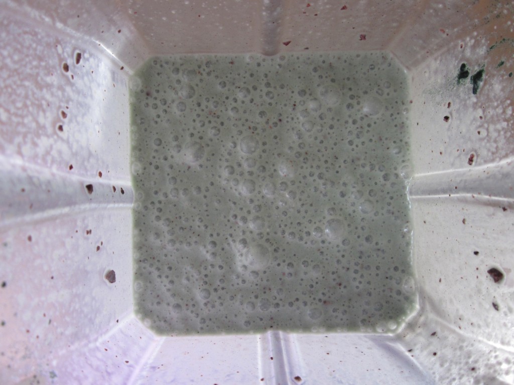 Mint Cacao Chip Shamrock Shake Recipe - in blender