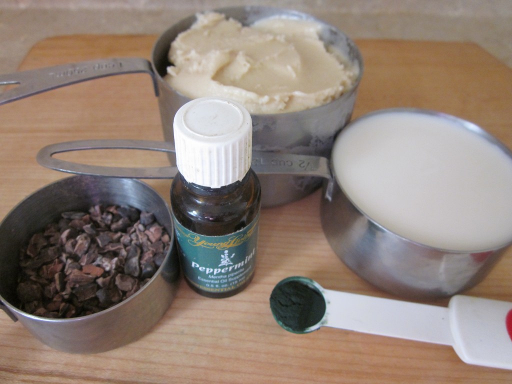 Mint Chocolate Chip Shamrock Shake Recipe - ingredients