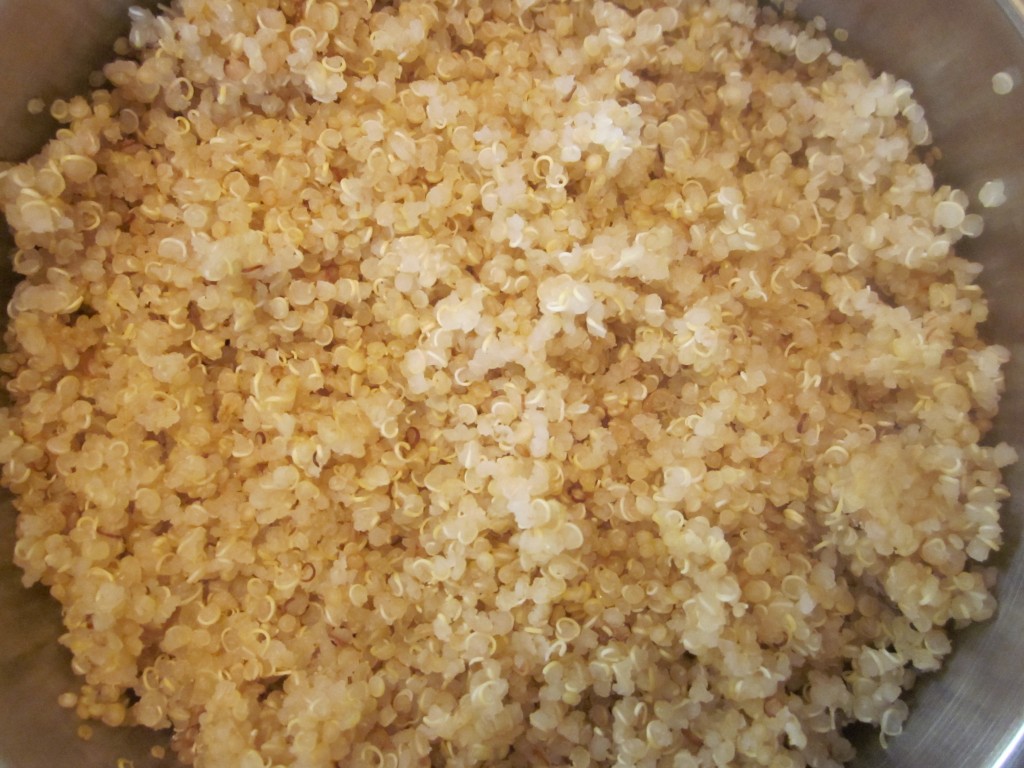 Apple Cinnamon Quinoa Porridge Recipe - cook quinoa