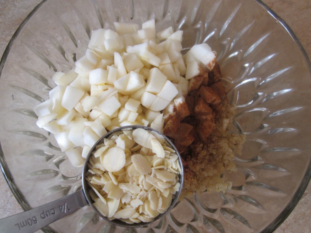Apple Cinnamon Quinoa Porridge Recipe - ingredients in bowl plus sliced almonds