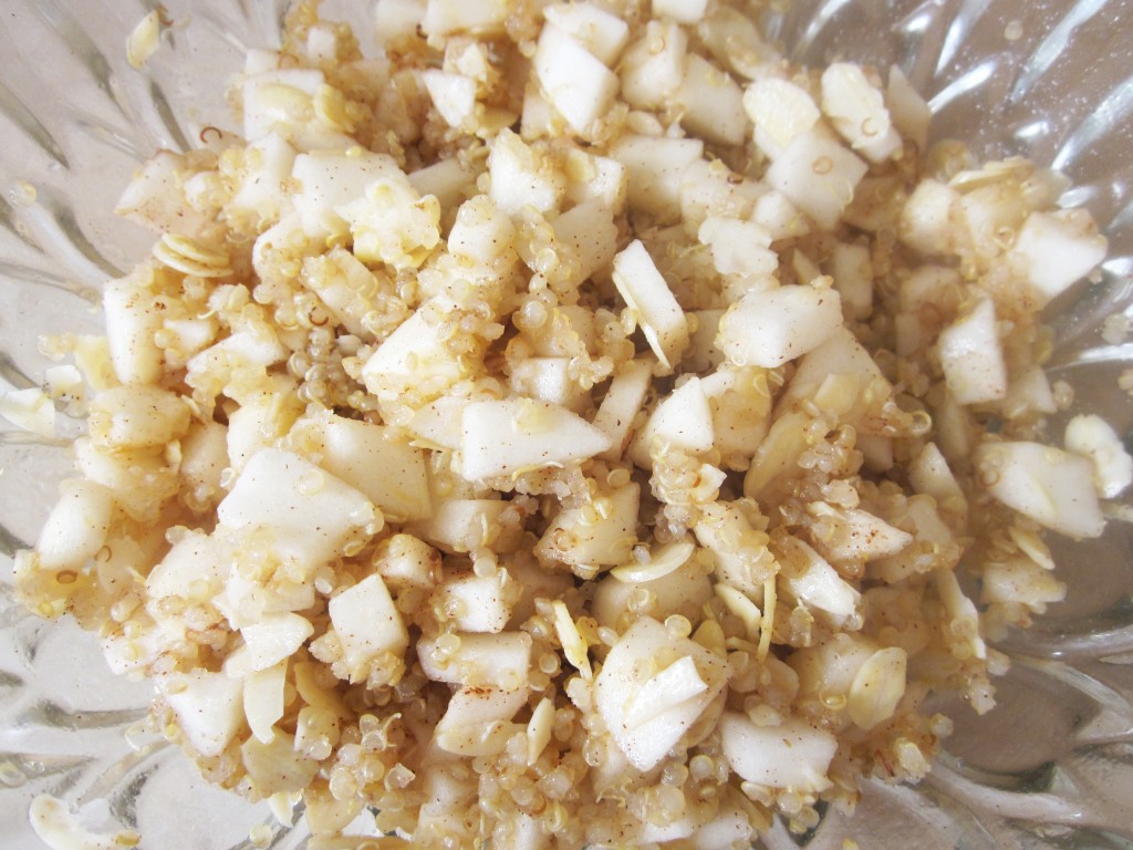 Apple Cinnamon Quinoa Porridge Recipe - mixed all together