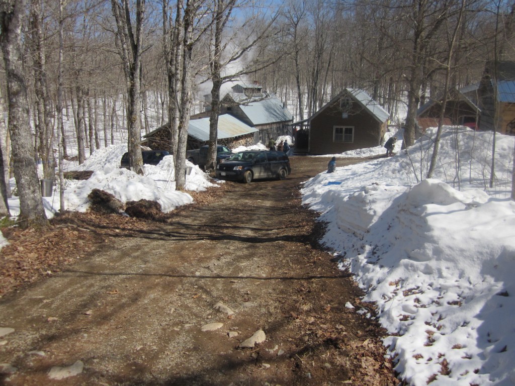 Beamans Maple Sugar Shack road to the camp