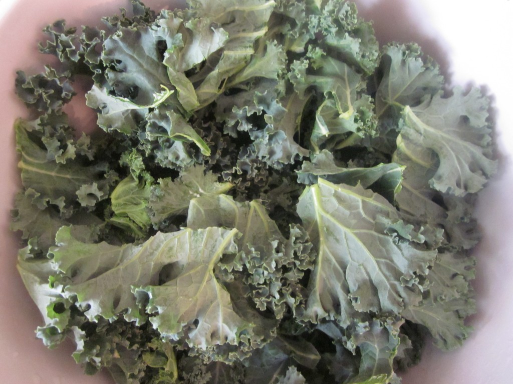 Dill Pickle Kale Chips Recipe - kale in bowl