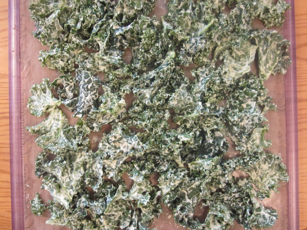 Dill Pickle Kale Chips Recipe on teflex