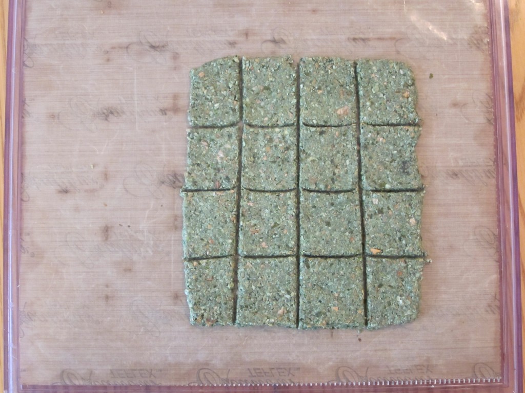 Green Chia Nut Crackers Recipe - extra cup on teflex