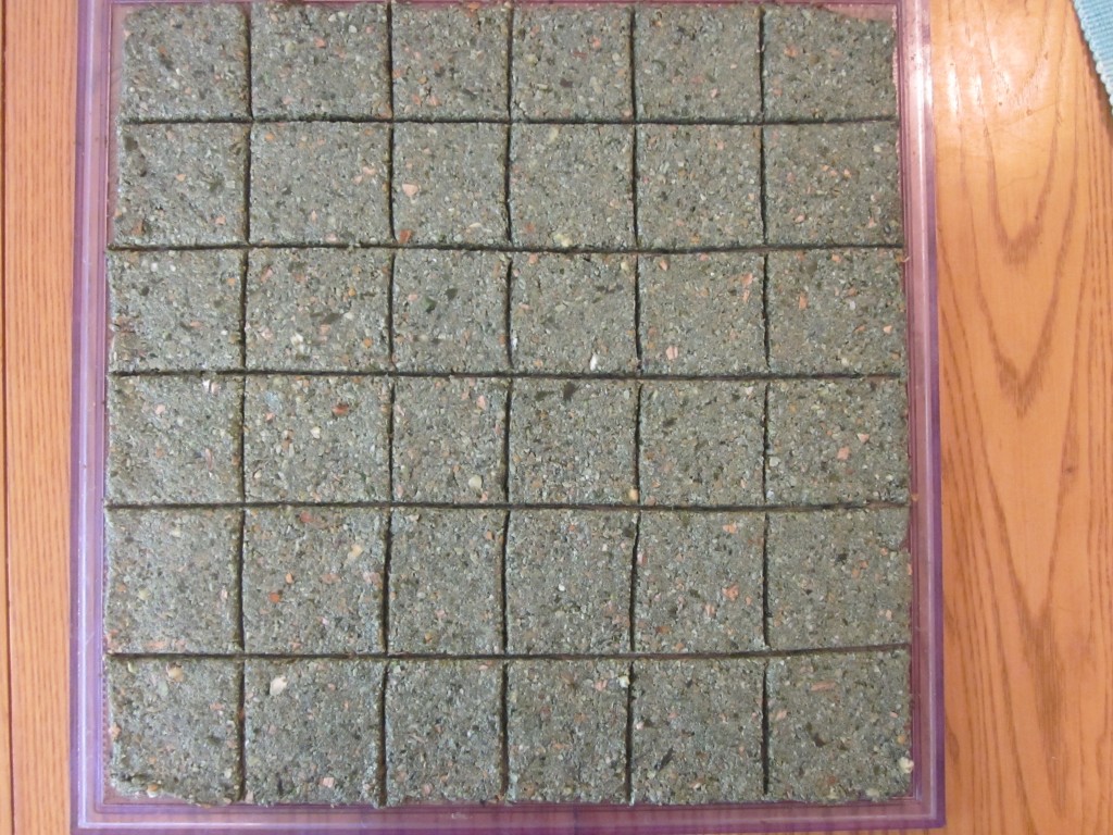 Green Chia Nut Crackers Recipe - scored on teflex