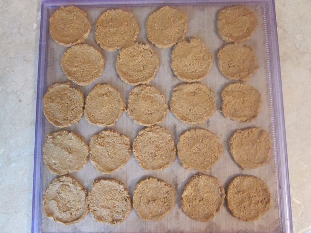 Protein Pumpkin Ginger Cookies Recipe - drop by spoonfuls and flatten