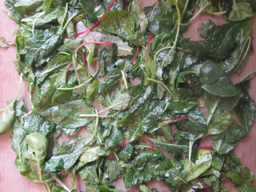 Wilted Southern Greens Recipe - oiled greens