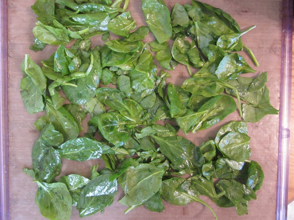 Beet Ravioli with Cashew Cheese, Wilted Spinach and Rocket Sauce spinach oiled