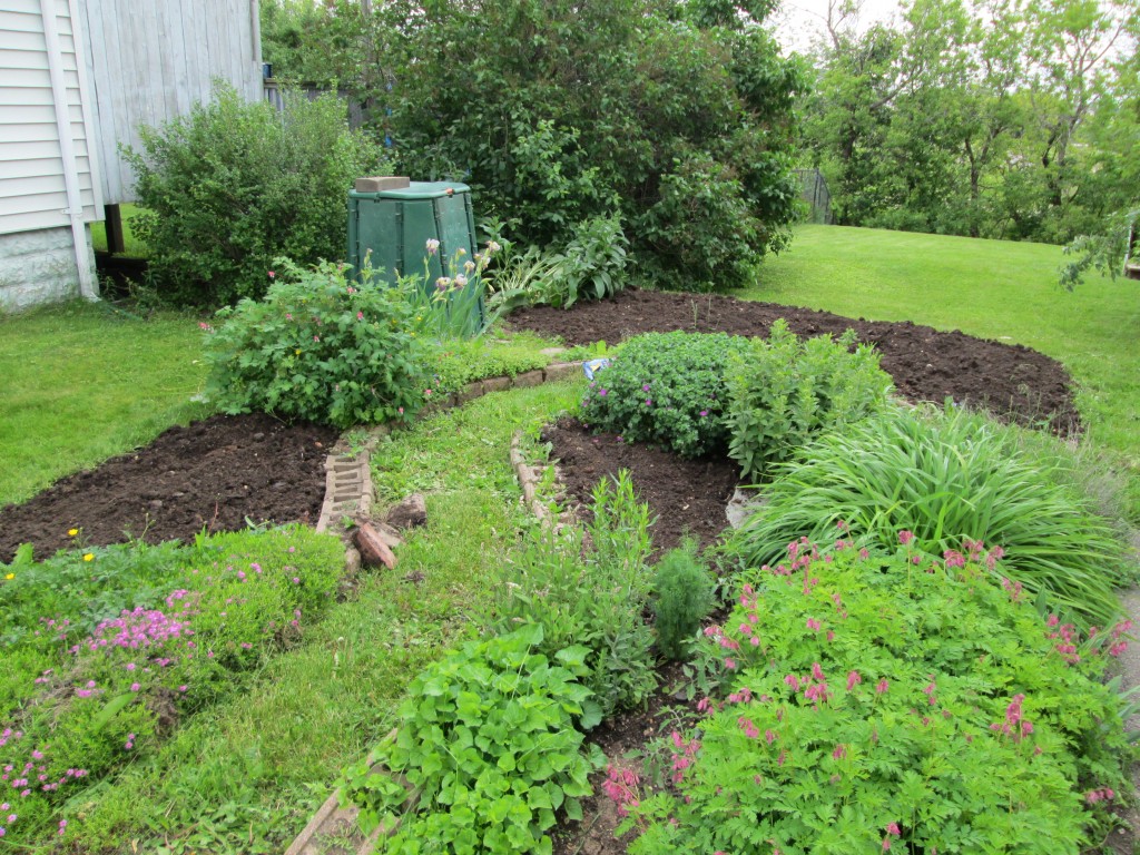 13 05 08 vegetable garden plot 4 - compost spread in