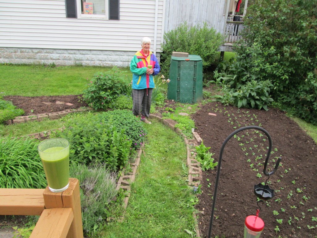 13 05 08 vegetable garden plot 9 Moms happy - green smoothies