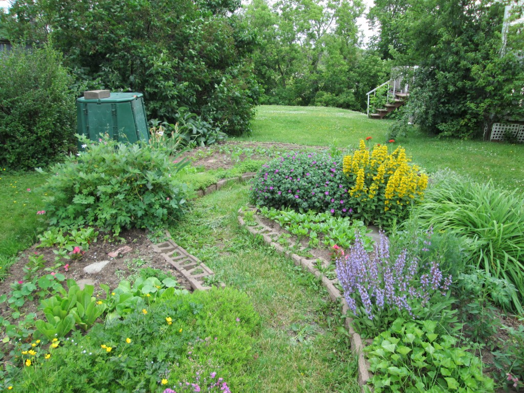 13 06 26 vegetable garden plot 19