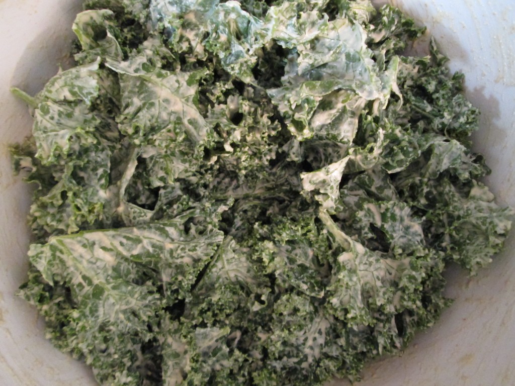 Green Curry Kale Chips - sauce mixed with kale