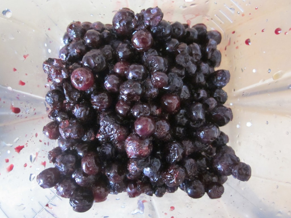 Lemon Blueberry Squares Recipe - blueberry filling - blueberry and psyllium added to blender