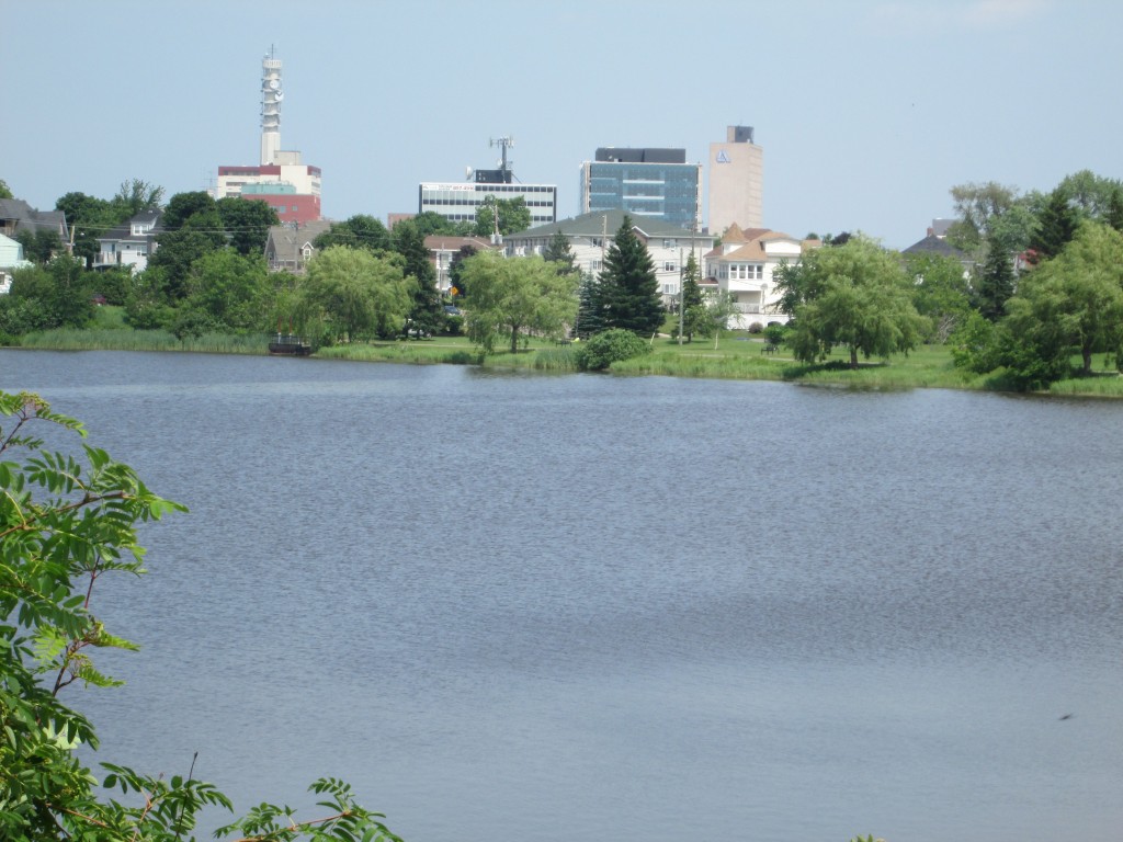 a Walk around Jones Lake 6