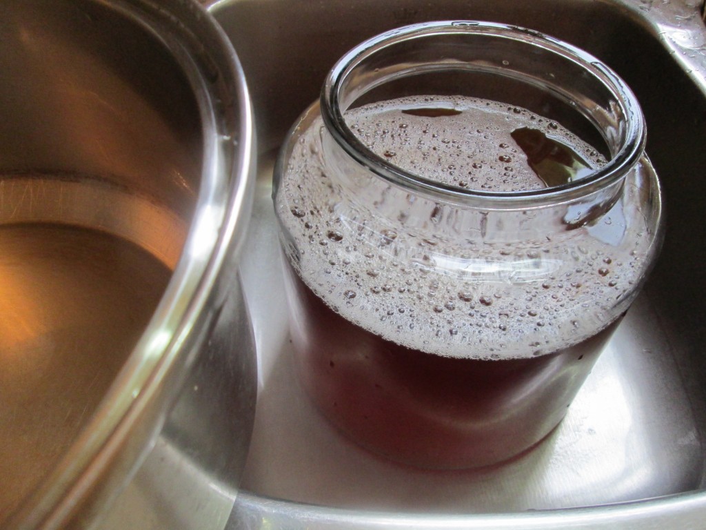 Kombucha Recipe - 11 fill with new tea mixture