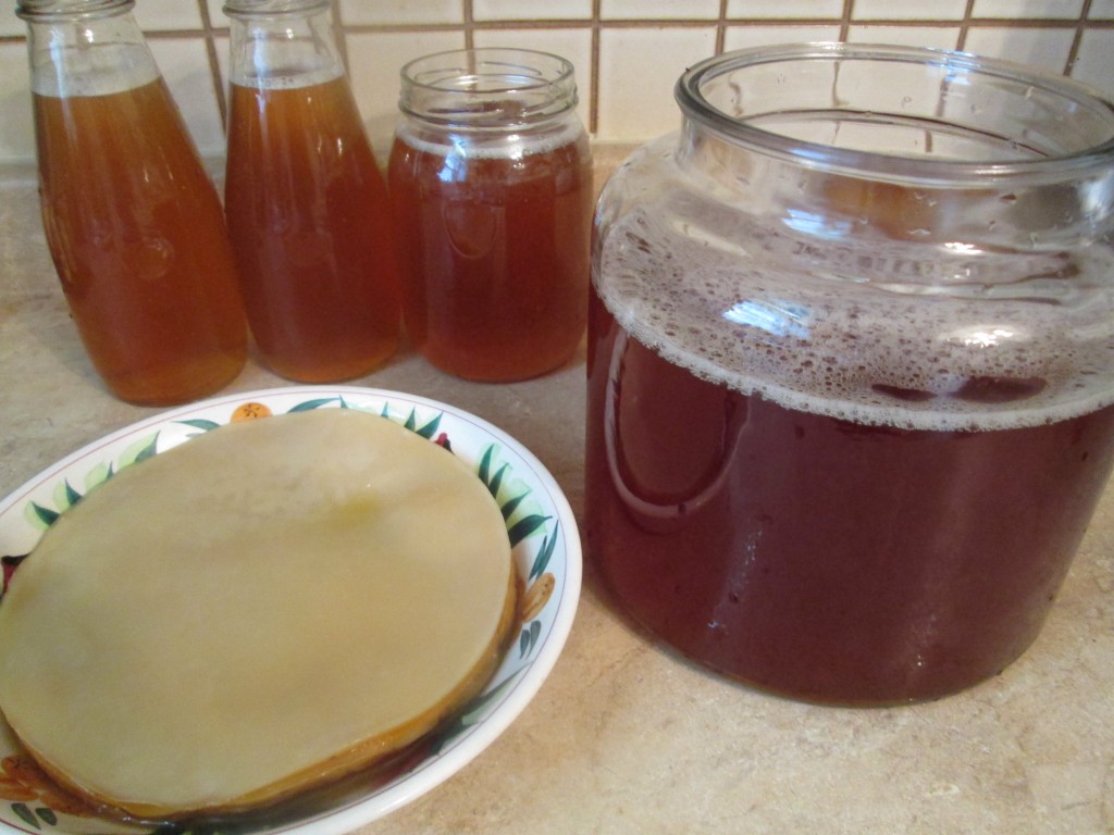 Kombucha Recipe - 12 bring back over to scoby