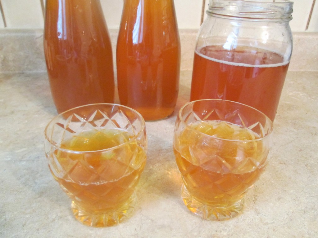 Kombucha Recipe - 15 pour kombucha and drink to test