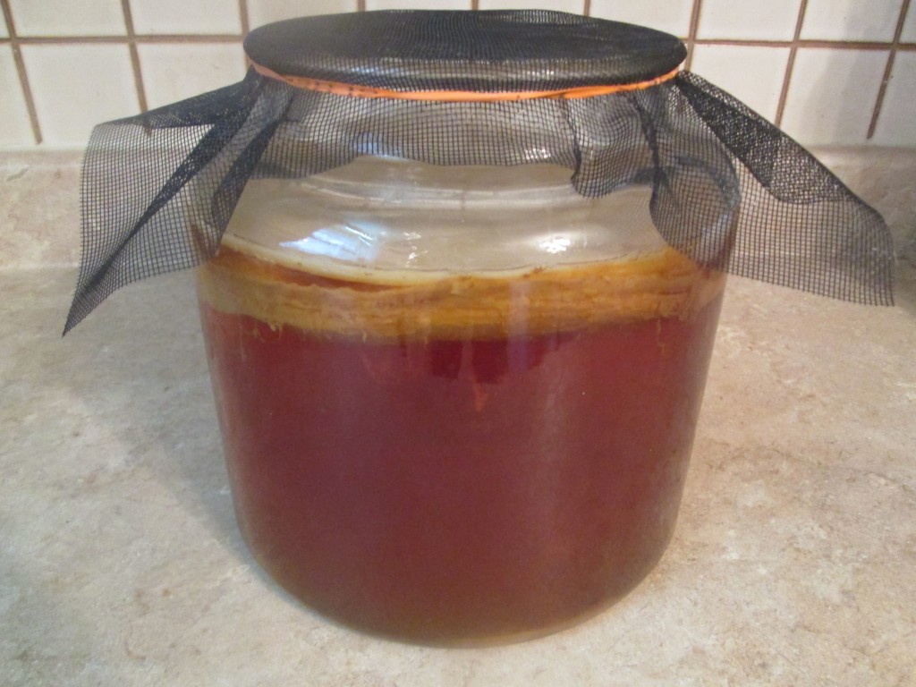 Kombucha Recipe - 5 previous batch