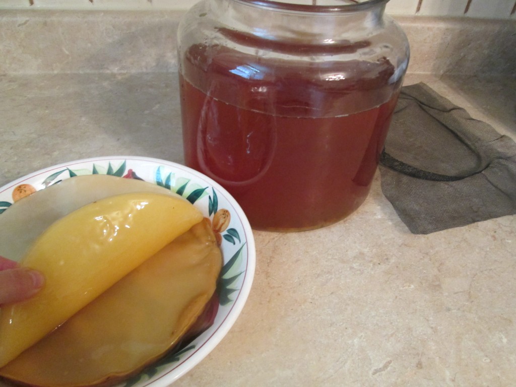 Kombucha Recipe - 7 transfer scoby to bowl