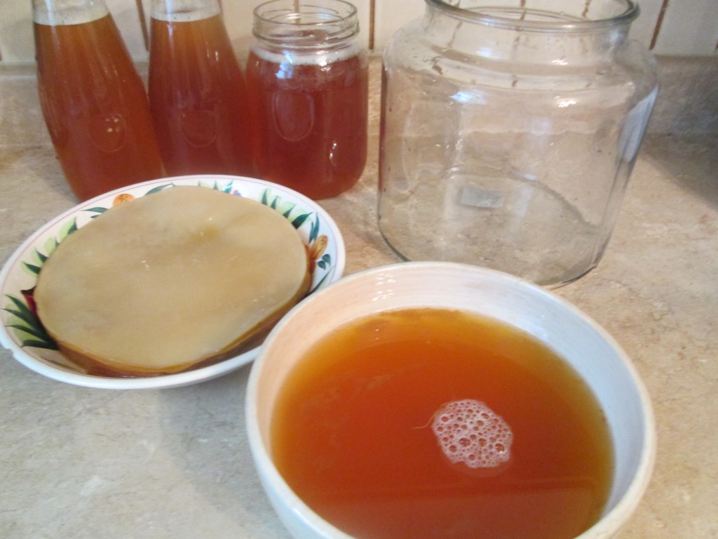 Kombucha Recipe - 9 remianing kombucha in bowl - rinse kombucha jar