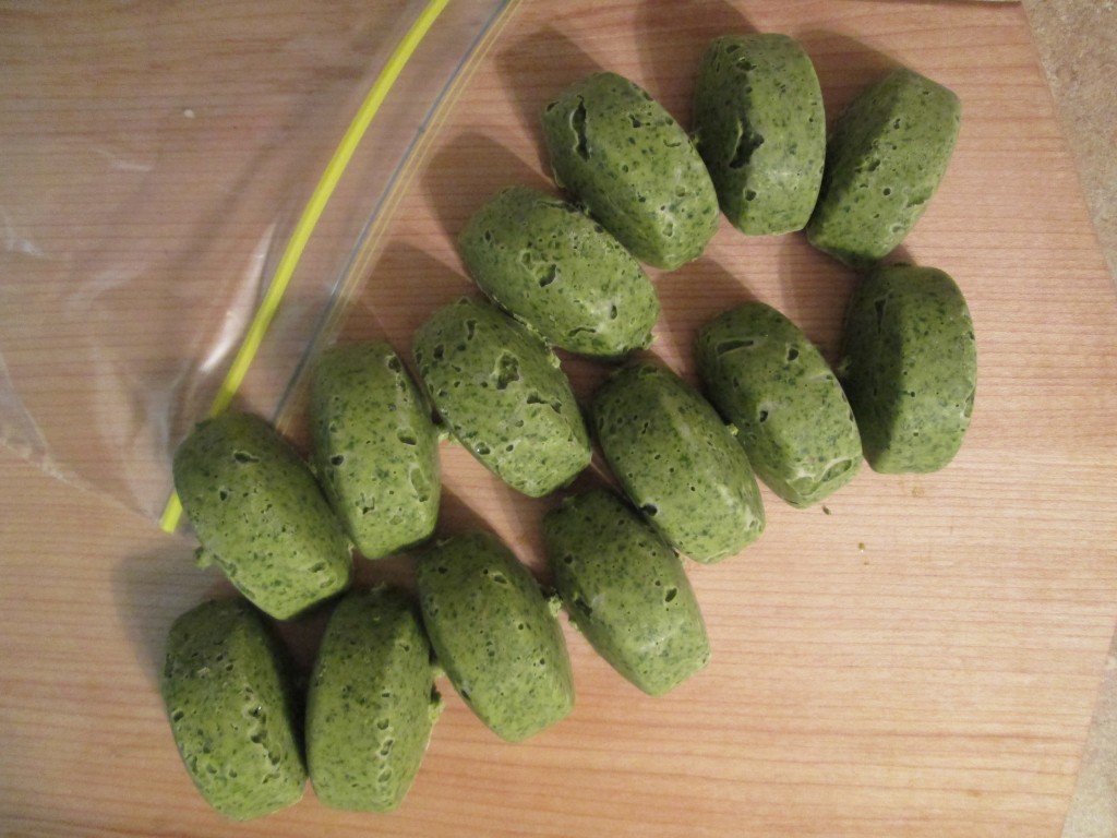 End of Season Herb Paste Recipe - frozen cubes