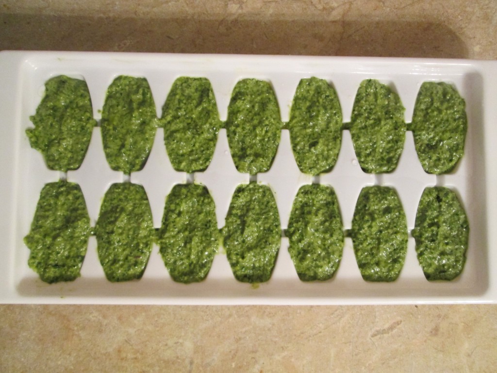 End of Season Herb Paste Recipe - in tray to freeze
