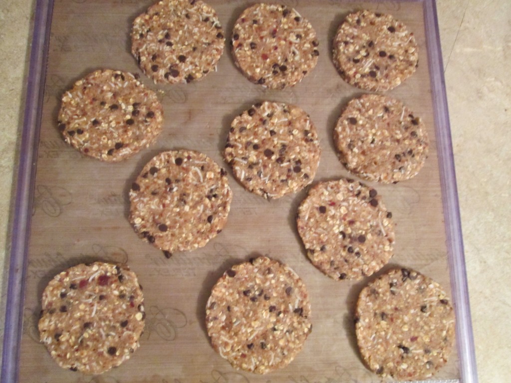 Oatmeal, Coconut Date Cookies Recipe - cookies flattened on teflex