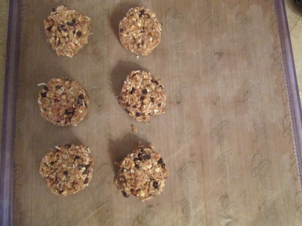 Oatmeal, Coconut Date Cookies Recipe - measure out on teflex